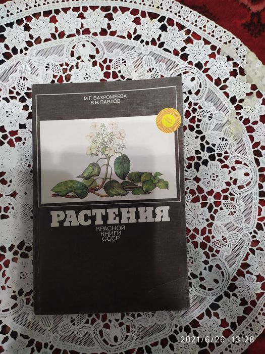 Цветы в нашей жизни.