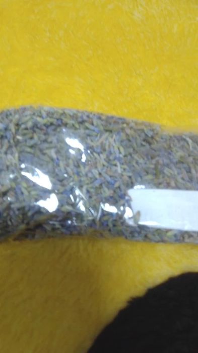 Лаванда. Сухоцвет.