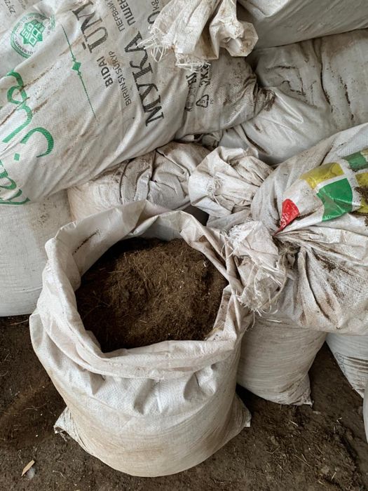 Конский перегной навоз