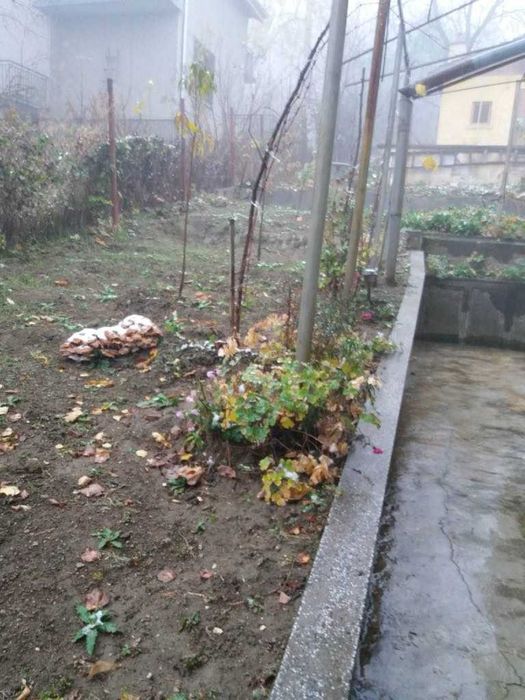 Продава се Къща в с. Гълъбово, Област Пловдив - 162 кв.м за 988 €/кв.м - Снимка #9