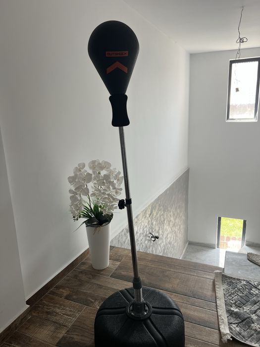 Punching ball (sac de box)