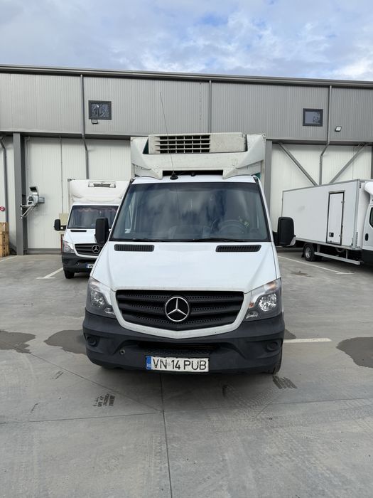 Autoutilitare frigorifice / congelare