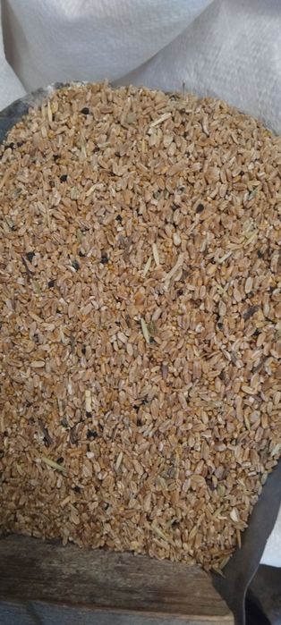 Продам отруби ,зерноотходы.зерно.