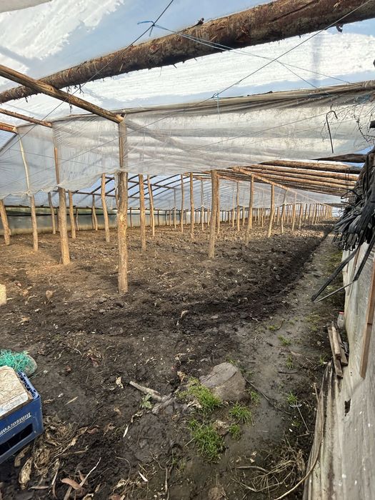 Loc de vanzare Matca