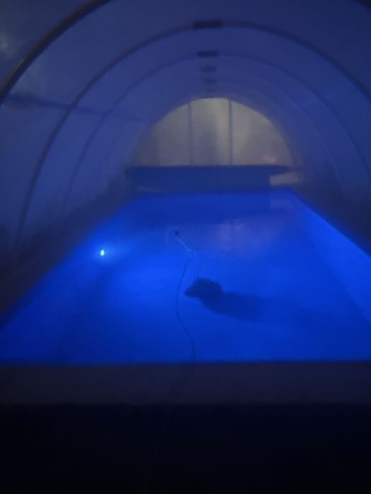 Casa cu piscina incalzita,ciubar-jacuzzi-sauna! PETRECERI PRIVATE !!!