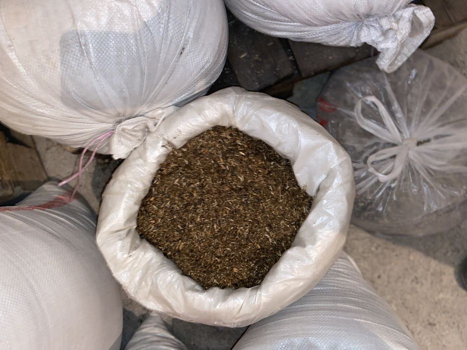 Для рыбалки корма