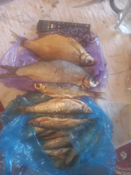 Продам рыбу копченный