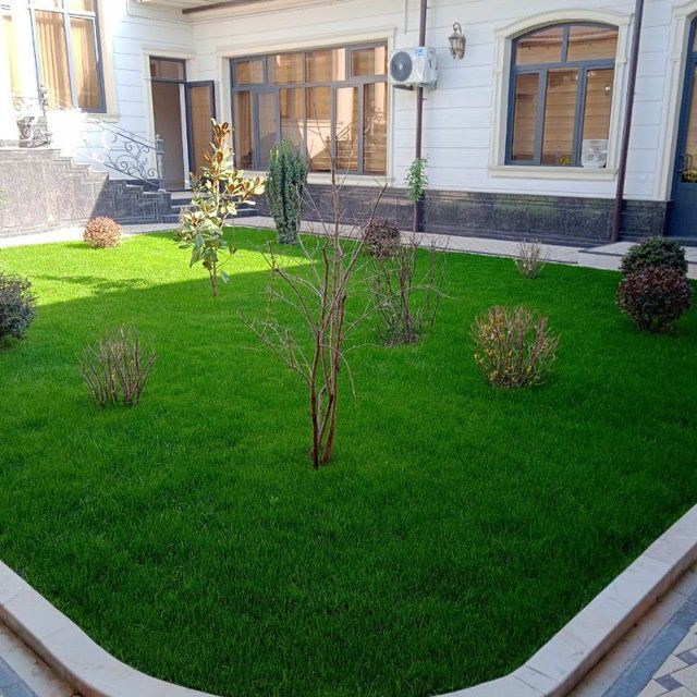 Газон полив gazon уруг сепамиз