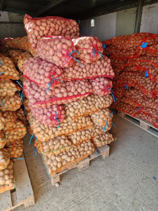 Cand cartofi de samanta