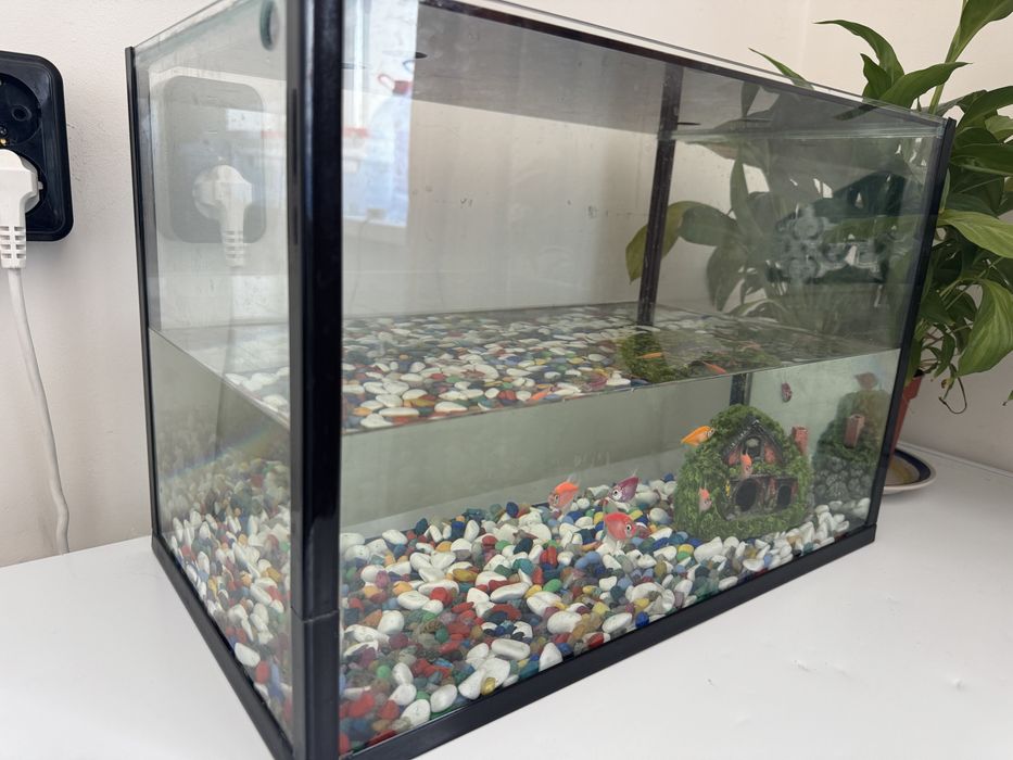 Продам аквариум с рыбками.