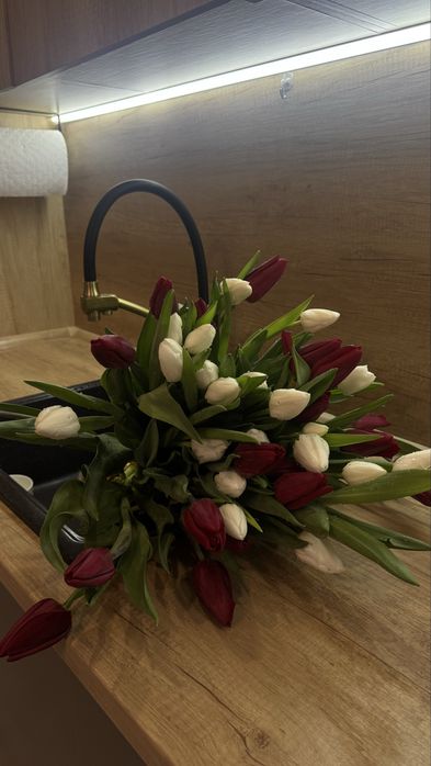 Тюльпаны пионовидыне и классика