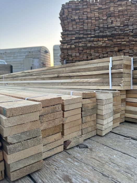 Дюмовка тахта оптом