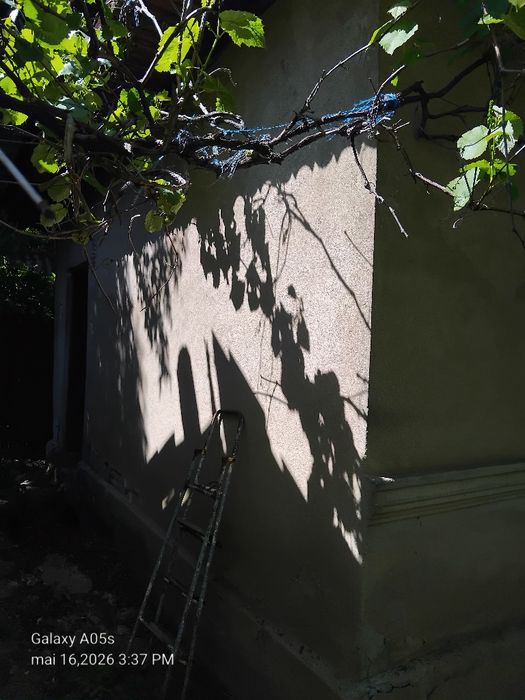 25000 Euro.  Casa batrânească de vânzare  județul Călărași  Lehliu sat