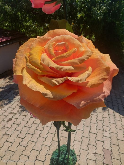 Flori uriase din hartie creponata pentru evenimente