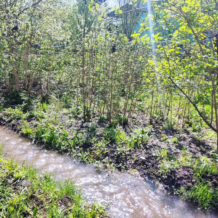 Продам Два дома, усадьбу 28,8 соток, делимый, сауна, навес, хозпостр.