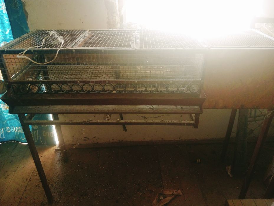 Бөдененің ұясы сатылады