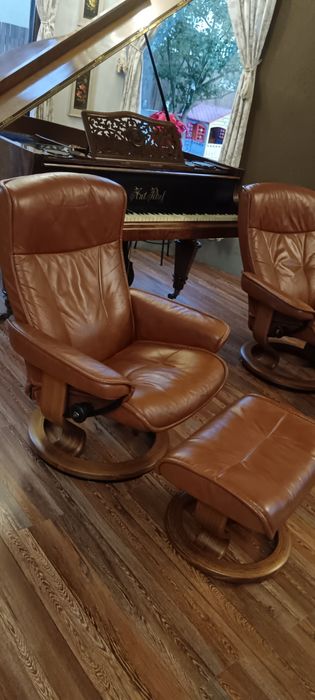 Fotolii piele naturala extensibile colectie