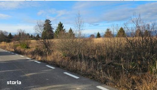 Cota 3/20 din teren extravilan- Judetul Harghita, loc. Gălăuțaș  R2980