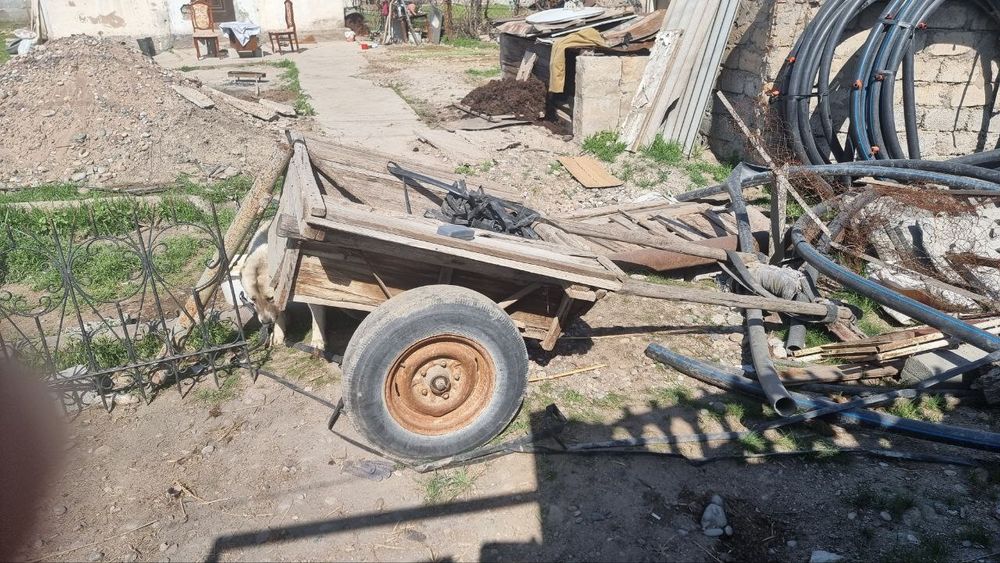 Eshak aravasi bilan arzonga sotvommiza