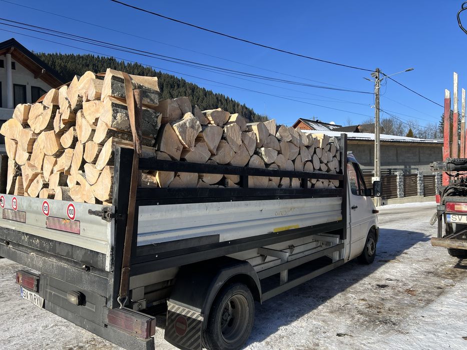 Vand lemne de foc fag