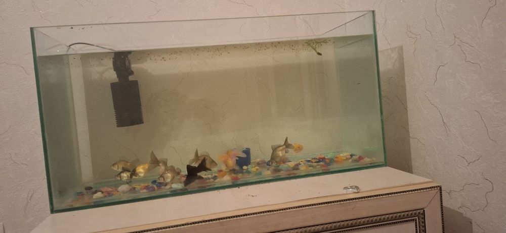 Аквариум сатылады