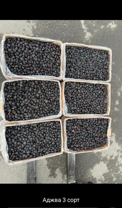 Финики Аджва Саудия