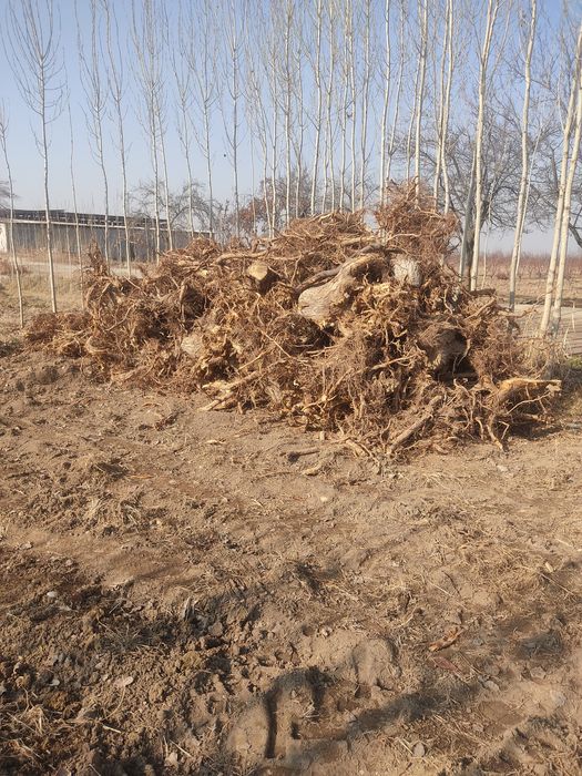 Утин сотилади срочно