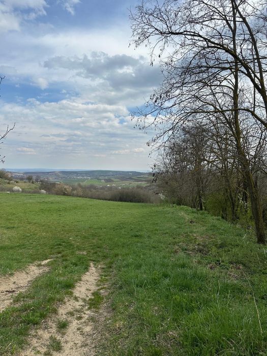 Vand teren intravilan parcela 2000 mp