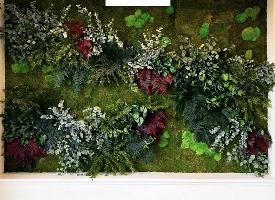 Фитостен. Foto zona