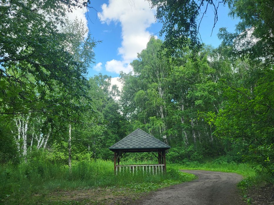 Продам дом в Савинке