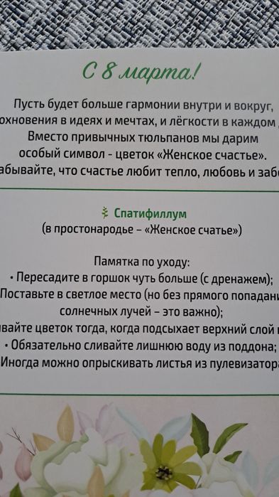 Продам живые красивые цветы