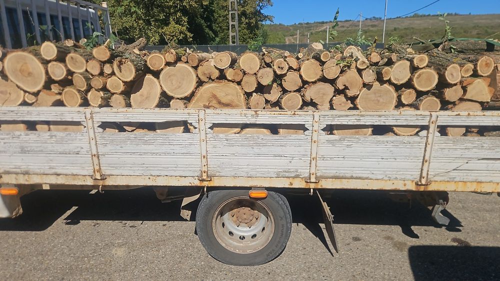 Lemn pentru foc(Carpen,Fag,Salcam)