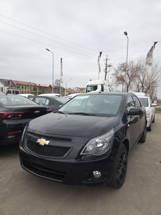 **Cobalt midnight mcm 2026