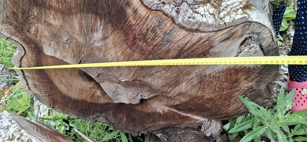 Bustean de nuc si cires pentru blaturi