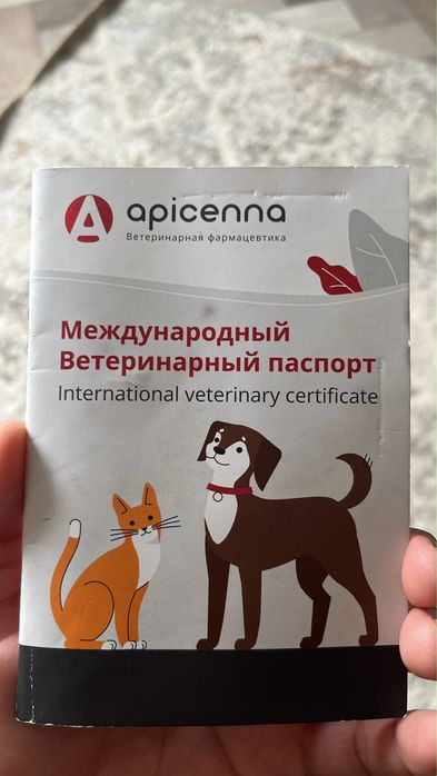 Продам немецкую овчарку с документами