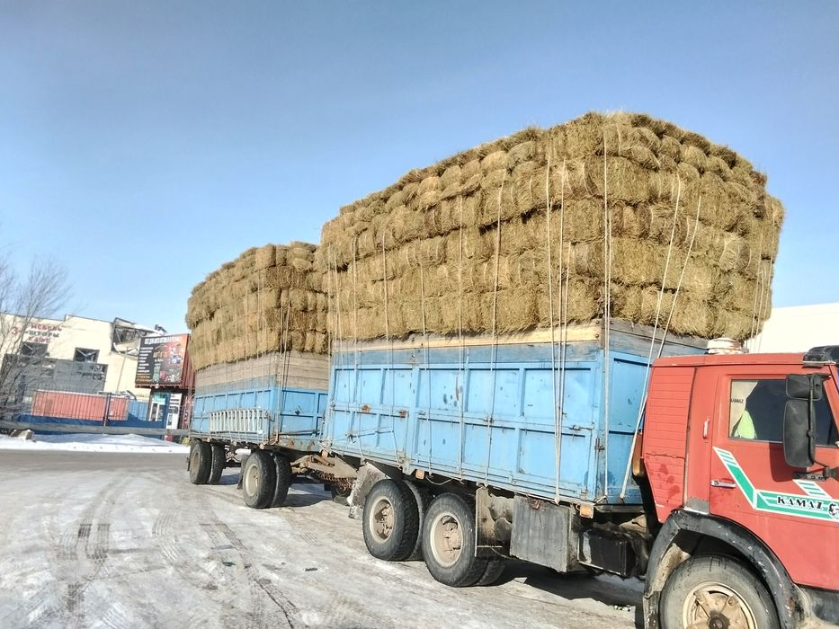 Продам сено тюковое житняк