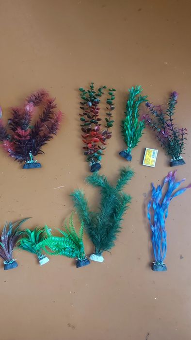 Аквариумное растения