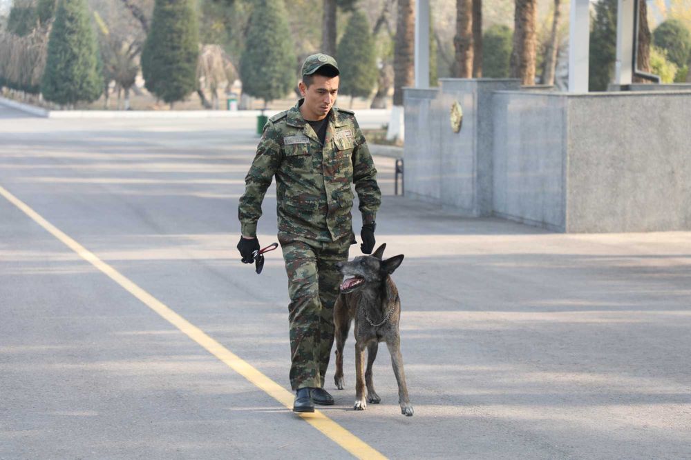 Milliy kinologiya markazi itni dressirovka qilish o`rgatish kinolog