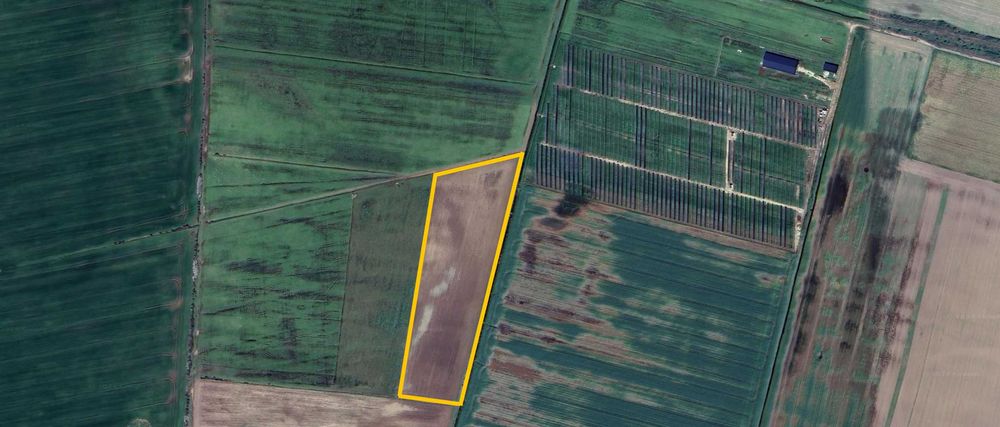 Teren 34.500mp extravilan arabil Siria