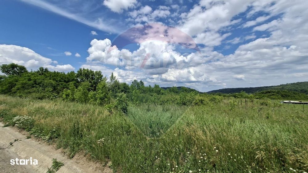 Teren intravilan 2400mp | Mohu, Sibiu | Oportunitate de Investiție
