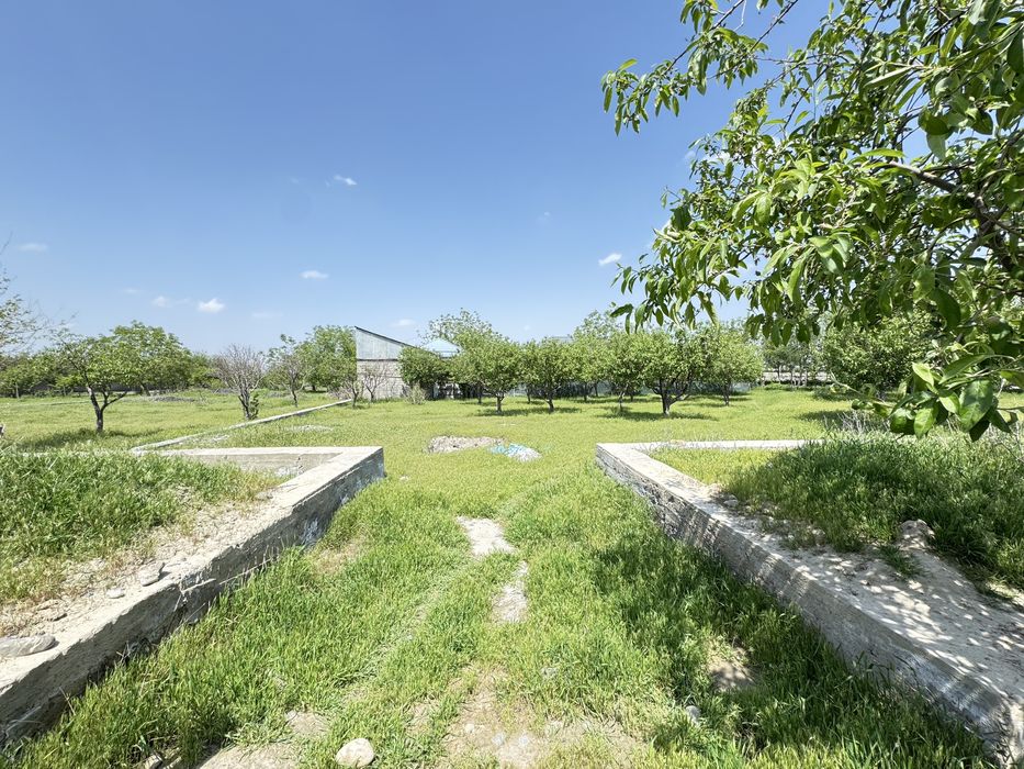 Земля на продажу 5 соток Корасув 24900$