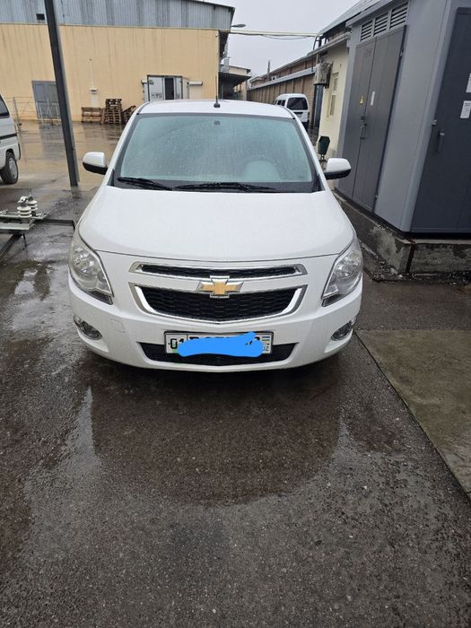 Cobalt Stayl Mcm full bez probek