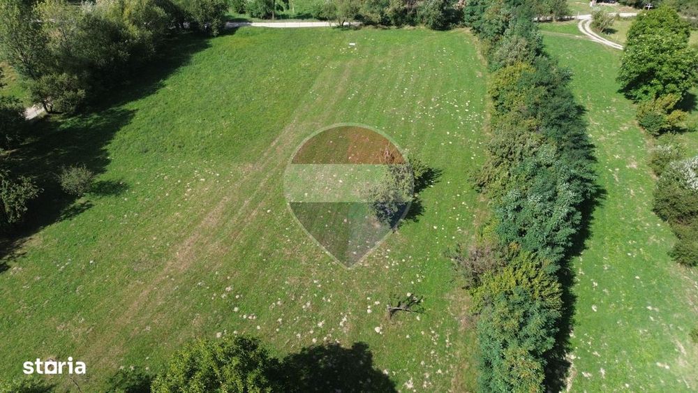 Teren 3,000mp Predelut / Strada Pe Tarina