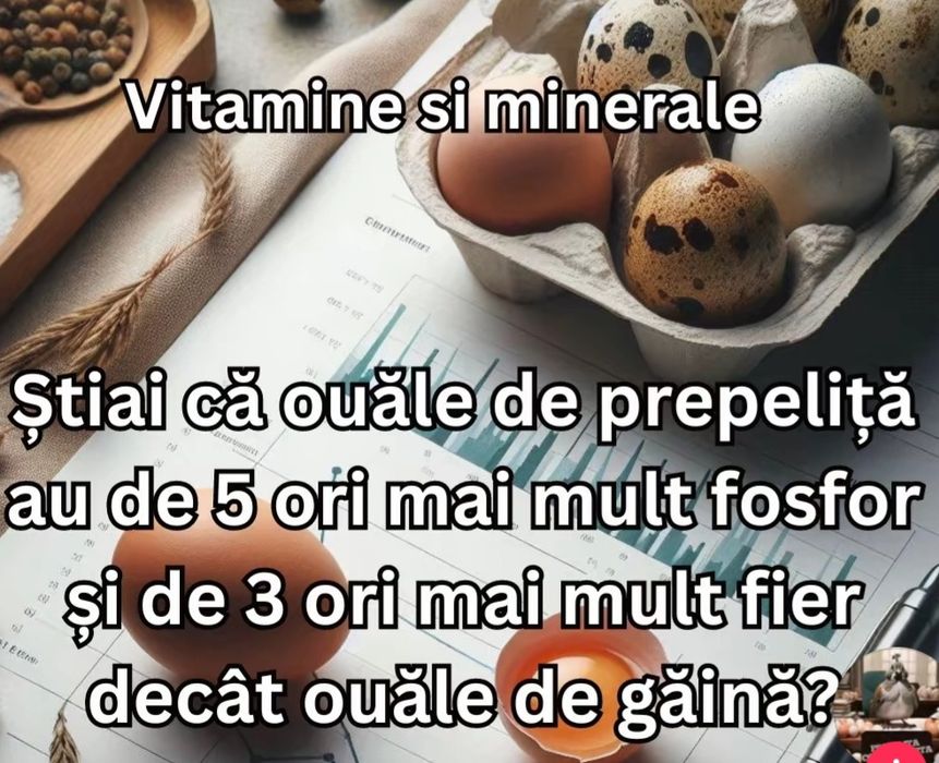 Ouă proaspete de prepeliță