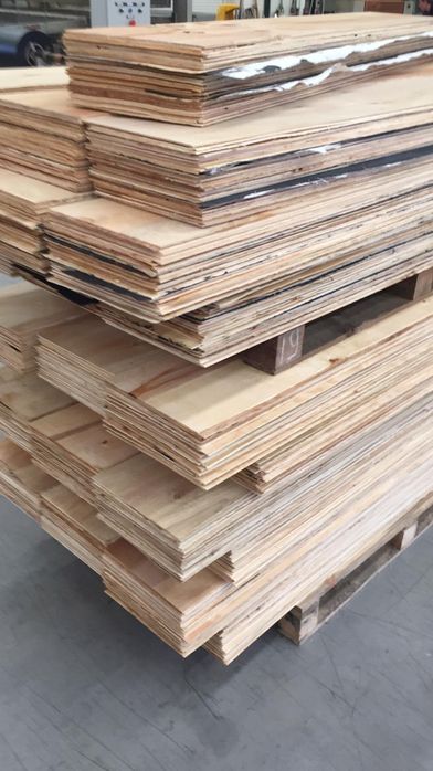 Vând Chesestea Paulownia Shantong