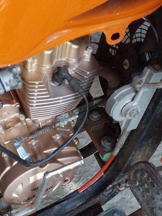 Lochin muravey rangi sabzirang