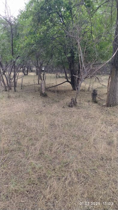 Продам земельный участок