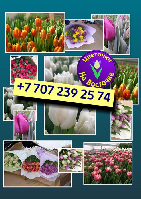 Тюльпаны к 8 марта !