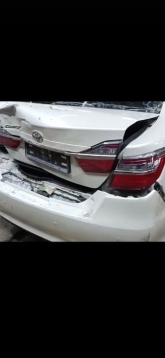 Костоправ маляр не дорого