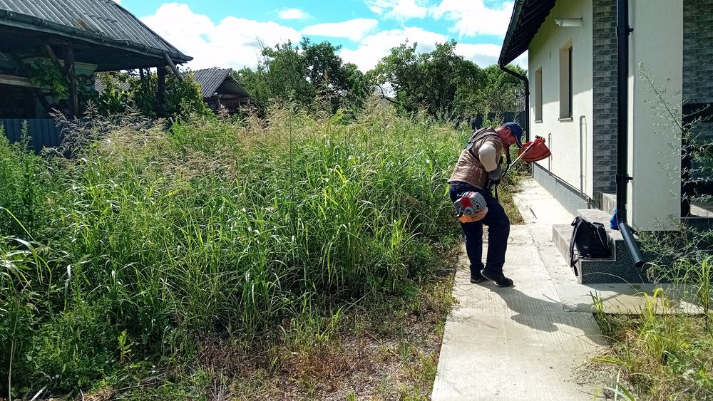Lucrări de defrisari !!Taieri copaci ,curățam terenuri  BACAU